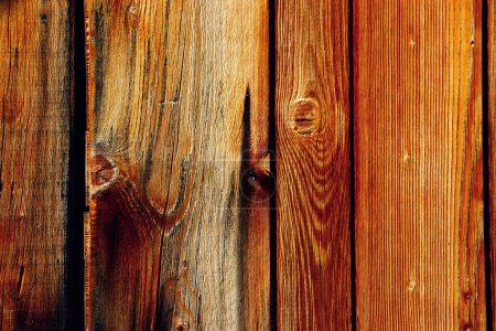 Foto de Madera árbol madera fondo textura estructura telón de fondo - Imagen libre de derechos