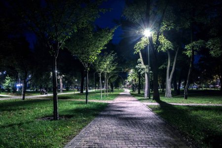 Foto de El césped de cola con hojas amarillas en el parque nocturno con linternas en otoño. Bancos en el parque durante la temporada de otoño por la noche. Iluminación de un camino de parque con linternas por la noche. Parque Kyoto - Imagen libre de derechos