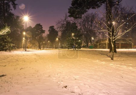 Snow covered roads in the night park with lanterns in the winter. Benches in the park during the winter season at night. Illumination of a park road with lanterns at night. Snow on trees. Park Kyoto