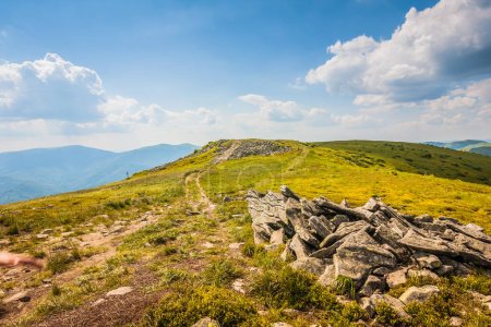 Photo for Beautiful view of the Ukrainian mountains Carpathians and valleys.Path and beautiful green mountains in summer with forests and grass. Water-making ridge in the Carpathians, Carpathian mountains - Royalty Free Image
