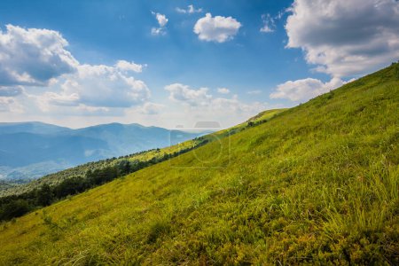 Photo for Beautiful view of the Ukrainian mountains Carpathians and valleys.Beautiful green mountains in summer with forests and grass. Water-making ridge in the Carpathians, Carpathian mountains - Royalty Free Image