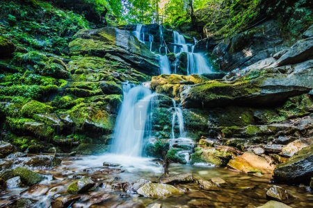 Photo for Forest waterfall Shipot. Ukraine, Carpathian mountains. Beautiful waterfall in the forest in the mountains in summer. - Royalty Free Image