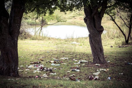 Basura en el césped cerca del lago. Botellas y vasos de plástico en el césped verde entre los árboles. La gente no limpia basura después de un picnic.