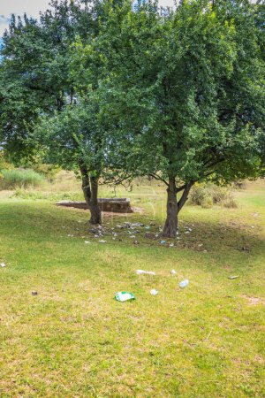 Garbage on the lawn near the lake. Bottles and plastic glasses on the green lawn between the trees. People don't clean up trash after a picnic
