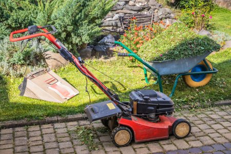 Photo for Cleaning the grass after mowing the lawn. Lawnmower and wheelbarrow with mown grass, yard (house territory), home care - Royalty Free Image
