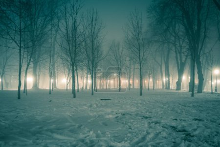 The scene depicts a snowcovered park embellished with trees and illuminated by street lights under the dark night sky, creating a serene and wintery atmosphere
