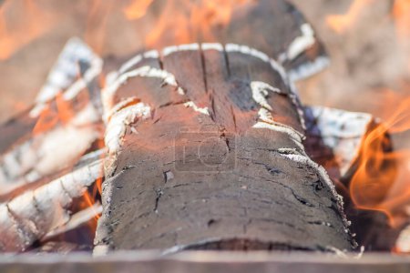 Image rapprochée montrant une bûche brûlant dans un feu avec des flammes émergeant. La scène capte l'intensité et la beauté du feu de bois