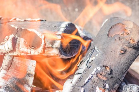 Closeup image showing a log burning in a fire with flames emerging. The scene captures the intensity and beauty of the firewood burning brightly