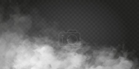 Illustration for Fog or smoke isolated transparent special effect. White vector cloudiness, mist or smog background. Vector illustration - Royalty Free Image