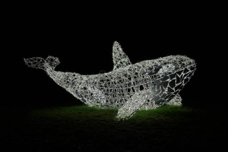 Téléchargez les photos : Baleine comme décoration illuminée faite de lumières de fées à l'installation de lumière Lumagica dans le parc Elbauenburg à Magdebourg pour mettre l'ambiance pour la saison de Noël - en image libre de droit