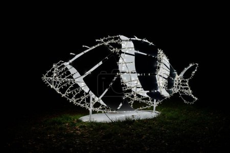 Téléchargez les photos : Un poisson comme décoration illuminée faite de lumières de fées à l'installation lumineuse Lumagica dans le parc Elbauenpark à Magdebourg comme ambiance pour la saison de Noël - en image libre de droit