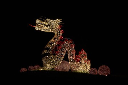 Téléchargez les photos : Un dragon comme décoration illuminée faite de lumières de fées à l'installation lumineuse Lumagica dans le parc Elbauenpark à Magdebourg comme ambiance pour la saison de Noël - en image libre de droit