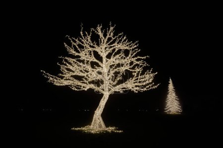 Téléchargez les photos : Un arbre comme décoration illuminée faite de lumières de fées à l'installation Lumagica dans le parc Elbauenpark à Magdebourg comme ambiance pour la saison de Noël - en image libre de droit