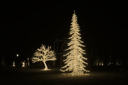 Photo for A Tree as an illuminated decoration made of fairy lights at the light installation Lumagica in the Elbauenpark in Magdeburg as a mood for the Christmas season - Royalty Free Image
