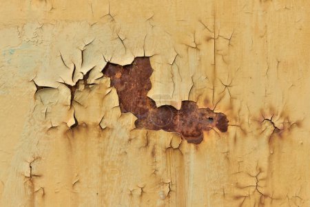      Pelar pintura en una vieja puerta metálica oxidada                          