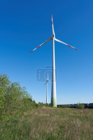   Zwei Windräder zur Stromerzeugung in einer Landschaft im Norden der Stadt Magdeburg                             