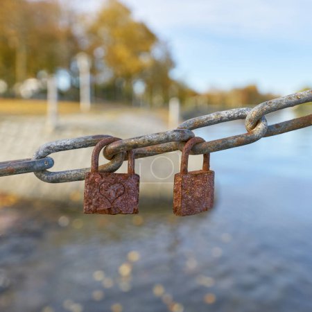 Photo for Rusted love locks on a chain on the Sundpromenade in Stralsund in germany - Royalty Free Image