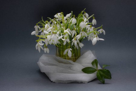 Photo for Bouquet of snowdrops on a dark background - Royalty Free Image