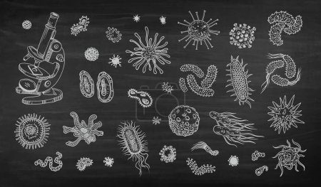Photo for Biological drawings of viruses and bacteria with a microscope Contour graphics pen doodle - Royalty Free Image