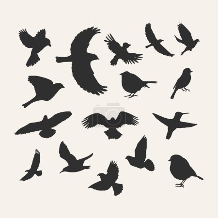 Photo for Hand drawn silhouettes of birds flying and sitting - Royalty Free Image