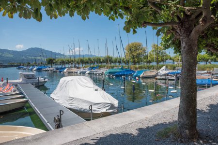 Photo for Moored sailboats at Rapperswil harbor, lake Zurichsee switzerland, canton Sankt Gallen - Royalty Free Image
