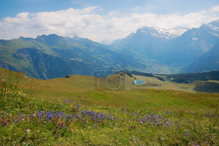Téléchargez les photos : Alpes suisses paysage près de Grindelwald, prairie fleurie avec Bluebells et vue sur le lac. - en image libre de droit