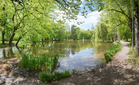 Photo for Spa garden Bad Aibling, lake Irlachsee with fountain, bavarian spring landscape - Royalty Free Image