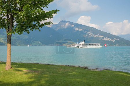 passenger liner cruising at lake Thunersee, switzerland. view from green shore with tree