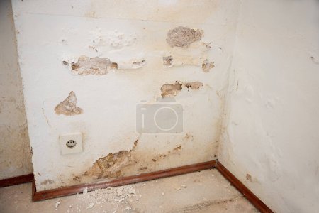 wall with heavy water damage, Efflorescence on the plaster due to rising damp 