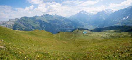 Téléchargez les photos : Paysage alpin Grindelwald avec pâturage verdoyant et vue sur la montagne, Oberland bernois Suisse - en image libre de droit