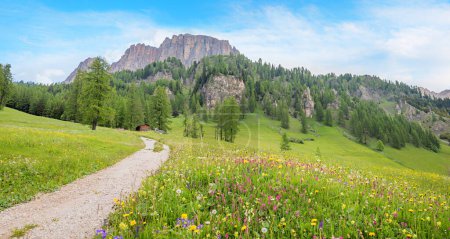 Photo for Stunning spring landscape Colfosco, dolomites, with walkway and flower meadow. south tyrol alta badia. - Royalty Free Image