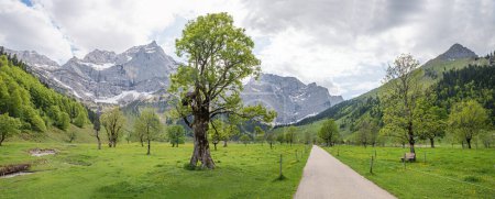 Foto de Pasarela a través de impresionante paisaje alpino Ahornboden, en primavera. Montañas Karwendel y arces gigantes. destino de senderismo austria, tirol - Imagen libre de derechos
