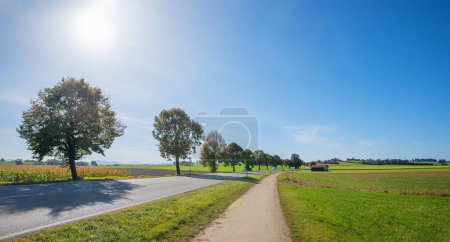 Téléchargez les photos : Route de campagne à Sachsenkam, Bad Tolz, avec piste cyclable à côté et champ de maïs. paysage bavière supérieure - en image libre de droit