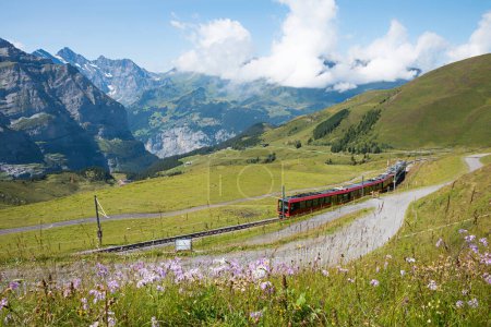 ferrocarril de cremallera eléctrica a la montaña Jungfrau. prados verdes con flores, hermoso paisaje Kleine Scheidegg, Bernese Oberland, Suiza
