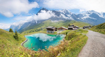 magnifique itinéraire de randonnée de Murren à Grutschalp, Alpes suisses Oberland bernois. prairie verte avec herbe à feu rose