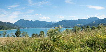 summer landscape Kaltenbrunn with wildflower meadow, view to lake Tegernsee and bavarian alps