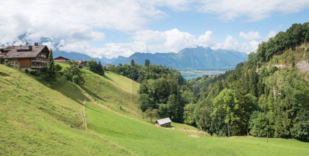 alpine landscape Sigriswil, green pasture, view to rope bridge and mountains, switzerland. landscape bernese oberland
