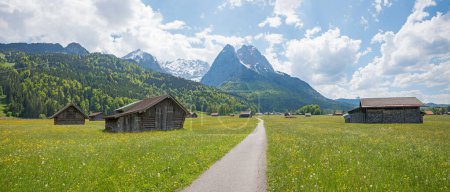 Téléchargez les photos : Vélo et chemin de randonnée de Garmisch à Grainau, prairies de buttercup avec cabanes, paysage printanier bavière supérieure avec vue sur la montagne Alpes Wetterstein - en image libre de droit