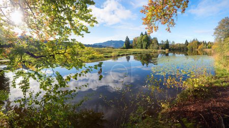 atemberaubende Herbstlandschaft Moorweiher bei Oberstdorf, Blick durch Äste mit herbstlichem Laub. Allgäuer Alpen im Oktober.