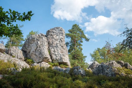 rocky quartz formation and blueberry shrubs, tourist destination geotope Grosser Pfahl, near Viechtach, lower bavaria