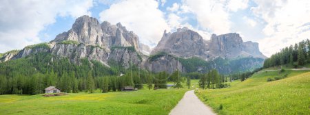 Wanderweg von Colfosco zum Wasserfall Pisciadu, Dolomiten, Südtirol. Idyllisches Frühlingspanorama mit Ranunkeln und Wildblumen