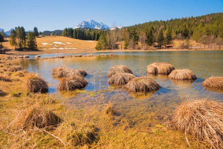 mechones de algas en el lago de páramo Schmalensee, bavaria superior paisaje en marzo