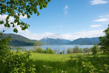 Seeblick Tegernsee von Gmund Kaltenbrunn, Frühlingslandschaft mit grünen Ästen und Wiesen, Oberbayern