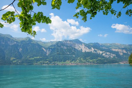 view over lake Brienzersee, tourist resort Brienz at the opposite site, linden tree branches. landscape and mountains Bernese Oberland, switzerland