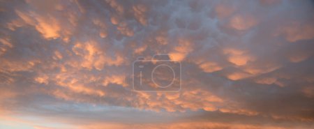 Weather phenomenon with bag-shaped mammatus clouds in special weather conditions, at sunset. dreamy cloudscape