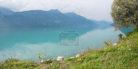 view over lake Brienzersee to lake shore and mountains, Bernese Oberland switzerland