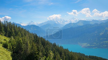 View over wooded mountain hills to Lake Thun and the Bernese Alps. Landscape on the Niederhorn, switzerland