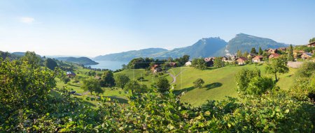 tourist resort Krattigen, summer landscape Bernese Oberland, view to lake Thunersee and Niederhorn mountain