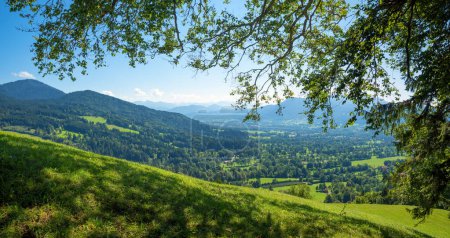 Blick vom Wanderweg Sunntrat auf Lenggries im Tal und Brauneck. Sommerlandschaft mit grünen Wiesen und Ästen, Oberbayern