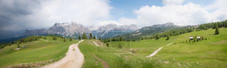 hiking trail on the plateau landscape, view over  Pralongia meadows, route to Piz Sorega.  Dolomites alps